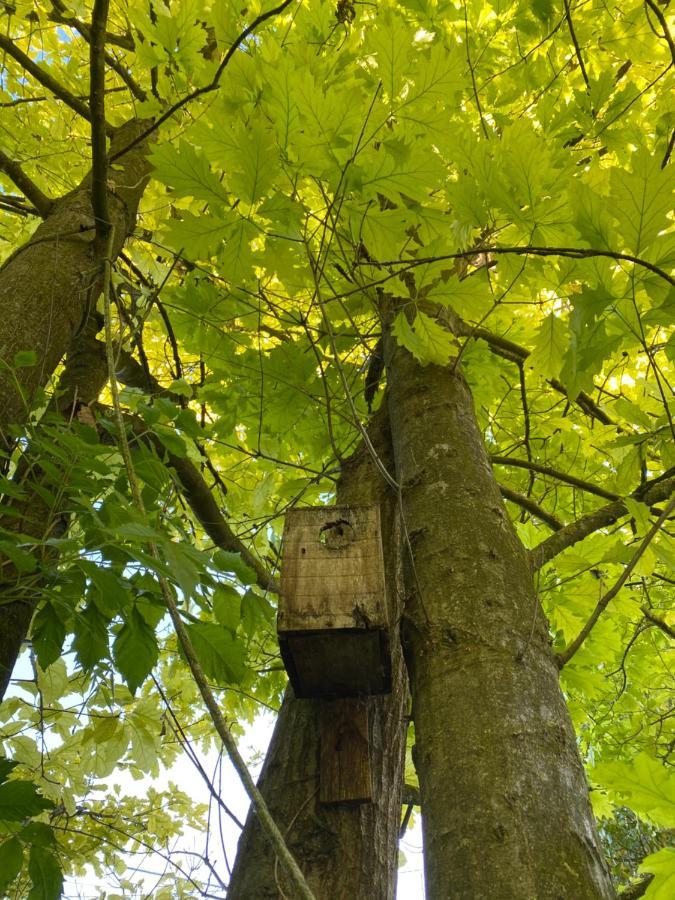 Locanda Del Molino Vecchio Magliano Alfieri المظهر الخارجي الصورة