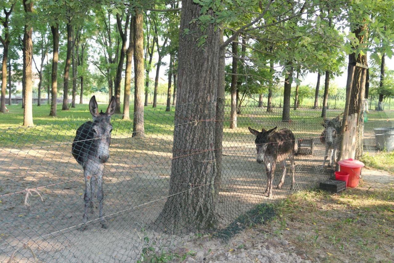 Locanda Del Molino Vecchio Magliano Alfieri المظهر الخارجي الصورة