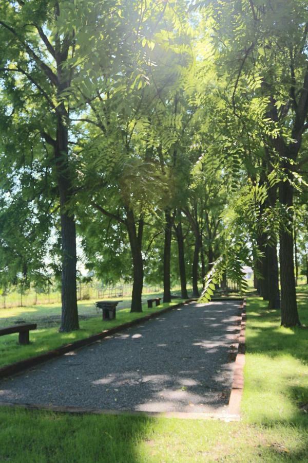 Locanda Del Molino Vecchio Magliano Alfieri المظهر الخارجي الصورة